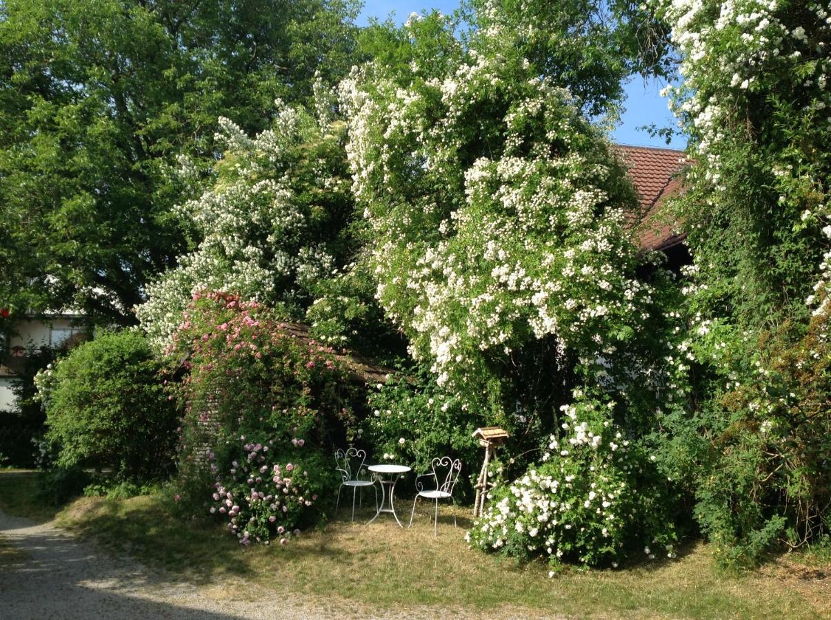 Landloft Haus Probst Lejlighed Schondorf am Ammersee Eksteriør billede